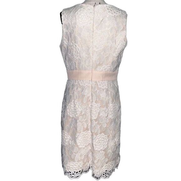 Luxology blush pink lace dress 10 - Picture 2 of 6